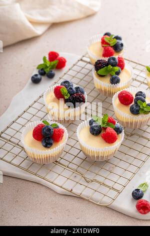 New Yorker Mini-Vanilla-Käsekuchen, zubereitet in einer Muffinpfanne, serviert mit frischen Beeren Stockfoto