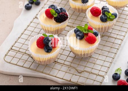 New Yorker Mini-Vanilla-Käsekuchen, zubereitet in einer Muffinpfanne, serviert mit frischen Beeren Stockfoto