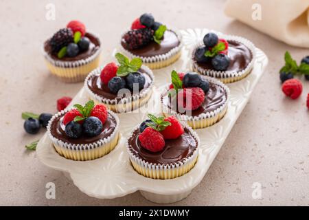 New Yorker Mini-Vanilla-Käsekuchen in einer Muffinpfanne mit Schokoladenganache serviert mit frischen Beeren Stockfoto