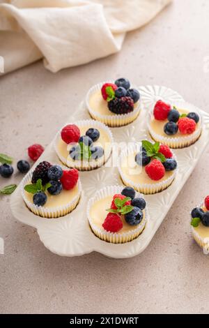 New Yorker Mini-Vanilla-Käsekuchen, zubereitet in einer Muffinpfanne, serviert mit frischen Beeren Stockfoto
