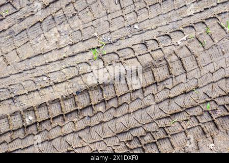 Reifenprofilmuster im Schlamm, Reifenbeschriftungen im Schlamm, Reifenspuren im Schlamm, Reifenabdrücke auf nassen, matschigen Straßen Stockfoto