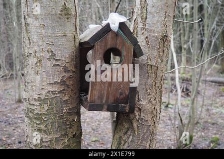 Ein Vogelhaus ist ein geschlossener künstlicher Nistplatz für kleine Vögel, die hauptsächlich in Hohlräumen nisten. Solche Nistplätze für kleine Passerinvögel sind oft verrückt Stockfoto