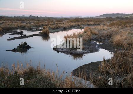 Das Naturschutzgebiet Gearagh und die Hochwasserebene bei Macroom in West Cork in Irland Europa Stockfoto