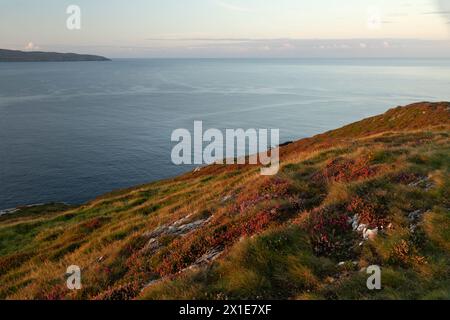 Blick über die Schafskopfhalbinsel von Bere Island auf der Beara-Halbinsel auf dem Wild Atlantic Way in West Cork in Irland Europa Stockfoto