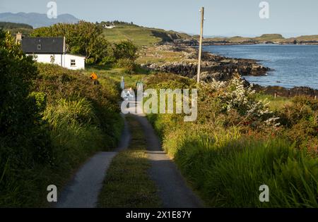 Straße hinunter zum Cloughland Strand auf Bere Island am Wild Atlantic Way in West Cork in Irland Europa Stockfoto