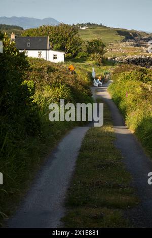 Straße hinunter zum Cloughland Strand auf Bere Island am Wild Atlantic Way in West Cork in Irland Europa Stockfoto