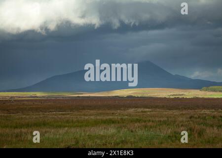 Blick in Richtung Croagh Patrick im County Mayo in Irland Europa Stockfoto