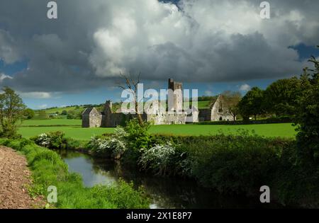 Ruinen der Abtei Kilcrea auf Farmland im County Cork in der Region Munster in Irland Stockfoto