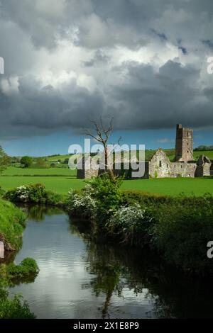 Ruinen der Abtei Kilcrea auf Farmland im County Cork in der Region Munster in Irland Stockfoto