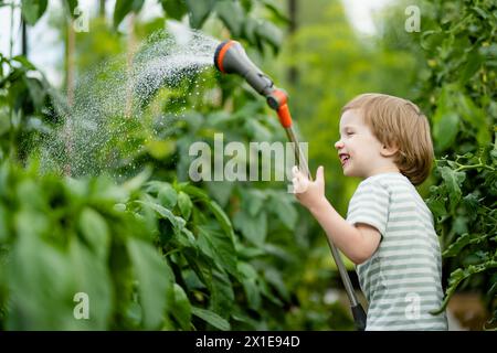 Süßer kleiner Junge, der Paprika im Gewächshaus am Sommertag tränkt. Kind verwendet Gartenschlauch, um Gemüse zu wässern. Kind hilft bei den alltäglichen Aufgaben. Stockfoto