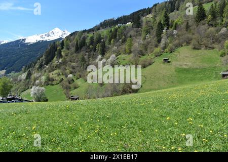 Blick aus dem wunderschönen Tal von Stubai unter dem Stubaier Gletscher mit kleinen Dörfern. Österreich Alpenregion Tirol. Stockfoto