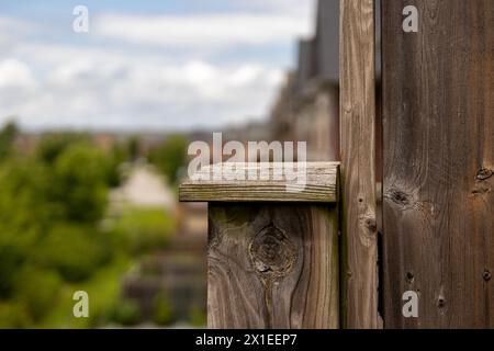 Verwitterter Holzzaun - Nahaufnahme - verschwommenes Grün und urbane Landschaft im Hintergrund. Aufgenommen in Toronto, Kanada. Stockfoto