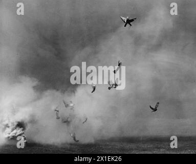 Tauben, die während eines Trainings in ft. Monmouth, New Jersey, CA. 1939 Stockfoto