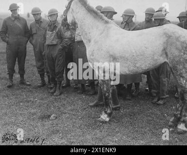 Soldaten stehen neben einem Pferd mit Gasmaske an der Chemikalienschule in Chaumont France CA. 1918 Stockfoto