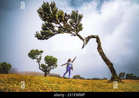 Beschreibung: Elegante Frau streckt nach isolierten Lorbeerbäumen auf einem flachen Feld. Fanal Forest, Madeira Island, Portugal, Europa. Stockfoto