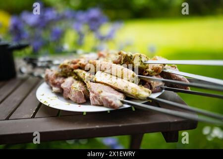 Hähnchenkohobs, gegrillt auf Spießen im Freien. Lustige Sommeraktivitäten. Stockfoto