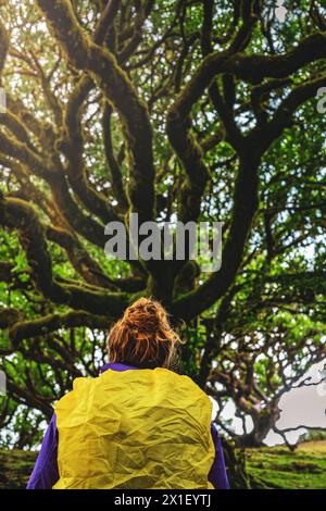 Beschreibung: Rückansicht einer Backpackerin mit Blick auf die moosige Baumkrone des alten Lorbeerbaums im Lorbeerwald. Fanal Forest, Madeira Island, Portu Stockfoto