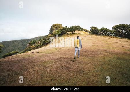 Beschreibung: Backpacker in regenfester Kleidung spaziert entlang eines grasbewachsenen Hügels mit großen Bäumen im Hintergrund mit Blick auf das Meer. Fanal Forest, Madeira Stockfoto