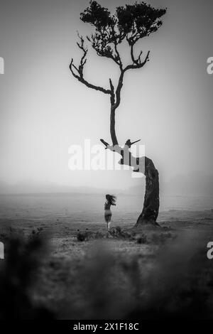 Beschreibung: Frau in Sportbekleidung, die sich wild neben einem einzigen Lorbeerbaum auf einem flachen Feld dreht. Fanal Forest, Madeira Island, Portugal, Europa. Stockfoto