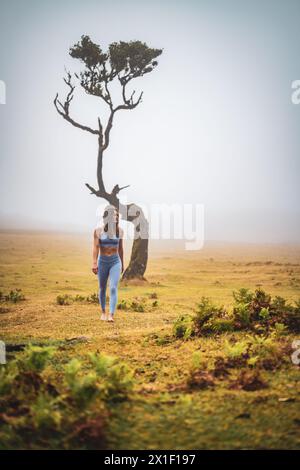 Beschreibung: Barfuß Frau in Sportbekleidung genießt Spaziergang über flaches Feld mit Lorbeerbaum in nebeliger Atmosphäre. Fanal-Wald, Madeira, Portugal, Stockfoto