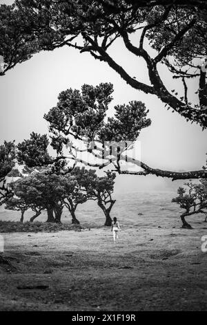 Beschreibung: Barfuß Frau in Sportbekleidung geht über flaches Feld mit herzförmigem Lorbeerbaum in nebeliger Atmosphäre. Fanal Wald, Madeira Insel, Portu Stockfoto