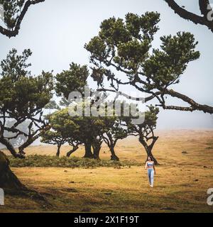 Beschreibung: Barfuß Frau in Sportbekleidung geht über flaches Feld mit herzförmigem Lorbeerbaum in nebeliger Atmosphäre. Fanal Wald, Madeira Insel, Portu Stockfoto