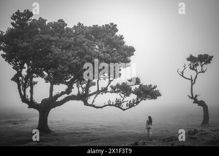 Beschreibung: Barfuß Frau in Sportbekleidung genießt einen Spaziergang über flaches Feld mit ästhetischen Lorbeerbäumen in nebeliger Atmosphäre. Fanal-Wald, Insel Madeira, Stockfoto