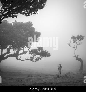 Beschreibung: Barfuß Frau in Sportbekleidung genießt einen Spaziergang über flaches Feld mit ästhetischen Lorbeerbäumen in nebeliger Atmosphäre. Fanal-Wald, Insel Madeira, Stockfoto