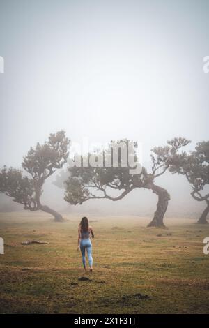 Beschreibung: Barfuß Frau in Sportbekleidung geht über flaches Feld mit Lorbeerbäumen in nebeliger Atmosphäre. Fanal Forest, Madeira Island, Portugal, Europa. Stockfoto