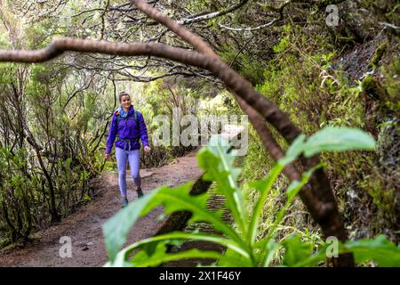 Beschreibung: Weibliche Touristen mit Rucksack spazieren entlang eines ruhigen Wasserkanals, der mit Bäumen und Büschen bewachsen ist. 25 Fontes Wasserfälle, Madeira Island, Stockfoto