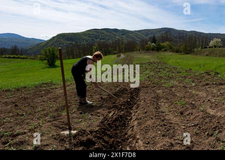 Eine Farmerin gräbt Löcher mit einer Hacke auf einem Feld, bereitet sie für das Anpflanzen von Kartoffeln an einem sonnigen, warmen Frühlingstag vor Stockfoto
