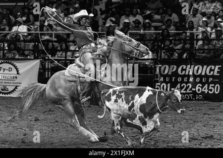 Little Rock, Arkansas, USA. April 2024. LUCILLE, KOCH JACKSON aus Angleton, TX, nimmt am zweiten jährlichen „Niederlage das Beast Rodeo“ im Barton Coliseum in Little Rock, Arkansas, Teil. Koch Jackson ist seit seinem 5. Lebensjahr unterwegs. (Kreditbild: © Brian Branch Price/ZUMA Press Wire) NUR REDAKTIONELLE VERWENDUNG! Nicht für kommerzielle ZWECKE! Stockfoto