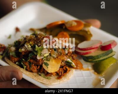 Nahaufnahme eines einzelnen mexikanischen al Pastor Street Taco mit Koriander, Zwiebeln und Ananas. Stockfoto
