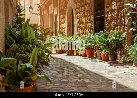 Gasse im historischen Dorf Soller, Mallorca, Spanien Stockfoto