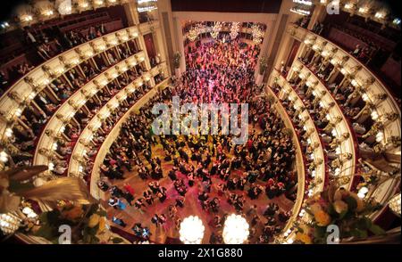 Wiener Opernball 2009, 19. Februar. - 20090219 PD5670 - Rechteinfo: Rechte verwaltet (RM) Stockfoto