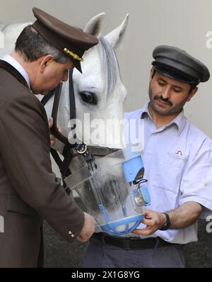 APA2108407-2 - 30032010 - Wien - Österreich: Am 20. März 2010 stehen Hausmeister neben einem Lipizzanerpferd mit Ultraschall-Atemgerät im Stall der Wiener Hofburg. Durch die Verwendung des Inhalators erreicht eine fein proportionierte Salzlösung die entlegensten Teile der Pferdelunge, was die Therapie unterstützt. Das Pferd leidet derzeit an einem Husten, der Höhepunkt der Krankheit ist bereits dahinter. APA-FOTO: HANS KLAUS TECHT - BS004054 - 20100330 PD0832 - Rechteinfo: Rights Managed (RM) Stockfoto