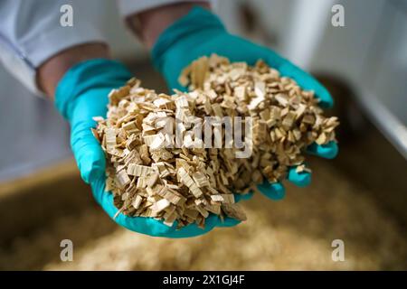 Rauchen. Holzspäne mit Geschmack zum Räuchern von Lebensmitteln. Hochwertige Fotos Stockfoto