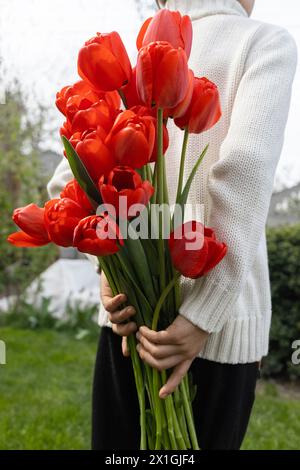 Ein nicht erkennbarer Junge hält einen großen Strauß roter Tulpen hinter seinem Rücken. Geschenk zum Muttertag. Internationaler Frauentag, Valentinstag. Blumenkratzer Stockfoto