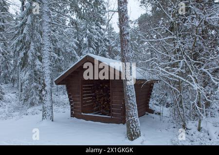 Schneebedecktes Holzlager für Kamin in Vetokannas bei bewölktem Winterwetter, Porkkalanniemi, Kirkkonummi, Finnland. Stockfoto