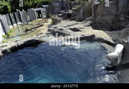 Ein Eisbär schwimmt während der Eröffnungszeremonie der neuen „Eisbärenwelt“ namens Franz Josef Land im Wiener Zoo in Schönbrunn am 22. Mai 2014 in Wien. - 20140522 PD1270 - Rechteinfo: Rechte verwaltet (RM) Stockfoto