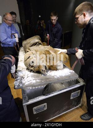 WIEN - ÖSTERREICH: Mitarbeiter des Naturhistorischen Museums in Wien entpacken am 05. November 2014 die 45,000-jährige gefrorene Mumie des weiblichen Mammuts namens 'Khroma'. Die Ausstellung „Mammuts: Eismumien aus Sibirien“ wird am 19. November 2014 eröffnet und läuft bis zum 2. März 2014. - 20141105 PD0477 - Rechteinfo: Rechte verwaltet (RM) Stockfoto