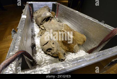 WIEN - ÖSTERREICH: Mitarbeiter des Naturhistorischen Museums in Wien entpacken am 05. November 2014 die 45,000-jährige gefrorene Mumie des weiblichen Mammuts namens 'Khroma'. Die Ausstellung „Mammuts: Eismumien aus Sibirien“ wird am 19. November 2014 eröffnet und läuft bis zum 2. März 2014. - 20141105 PD0438 - Rechteinfo: Rechte verwaltet (RM) Stockfoto