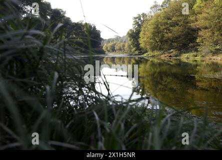 Nationalpark Donau-Auen - der Nationalpark Donau-Auen erstreckt sich über 93 Quadratkilometer in Wien und Niederösterreich und ist eine der größten verbliebenen Auen der Donau in Mitteleuropa. Der Nationalpark Donau-Auen schützt ein großes Gebiet mit Tieflandwäldern, Wiesen, Feuchtgebieten und anderen Ufergebieten entlang der Donau direkt unterhalb von Wien. - 12. September 2016 - 20160912 PD10204 - Rechteinfo: Rights Managed (RM) Stockfoto