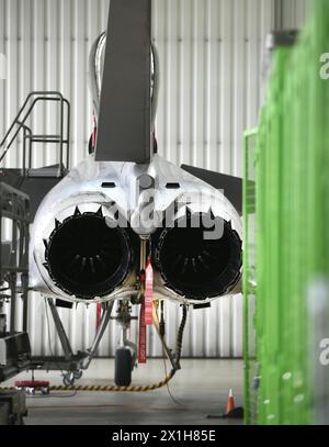 Eurofighter: Eurofighter-Taifune der Österreichischen Streitkräfte auf dem Luftwaffenstützpunkt Hinterstoisser in Zeltweg, Österreich, am 6. April 2017. - 20170406 PD15094 - Rechteinfo: Rights Managed (RM) Stockfoto