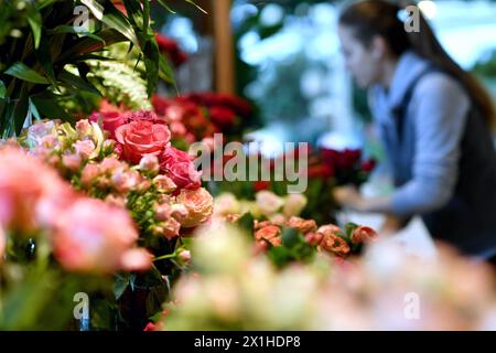 Illustration zum „Valentinstag“: Blumen bei einem Blumenhändler in Salzburg, Österreich, aufgenommen am 9. Februar 2019 anlässlich des bevorstehenden „Valentinstag“. - 20190209 PD1869 - Rechteinfo: Rights Managed (RM) Stockfoto