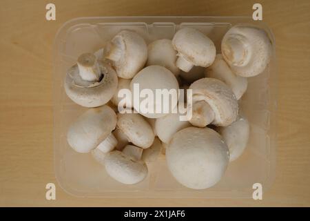 Frische Speisepilze, darunter weiße Pilze Agaricus, veranschaulichen Pilzanbau, Ernährung, Gartenbau und Landwirtschaft Stockfoto