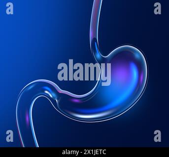 3D-Illustration eines transparenten Glasmagens mit Glanz und Reflexionen. Anatomischer Abschnitt von vorne auf dunkelblauem Hintergrund. Stockfoto
