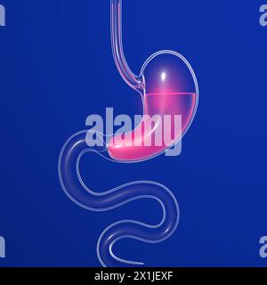 3D-Darstellung des Magens mit Verbrennung. Anatomischer Schnitt aus transparentem Glas mit Lichtern und Reflexionen auf dunkelblauem Hintergrund. Stockfoto