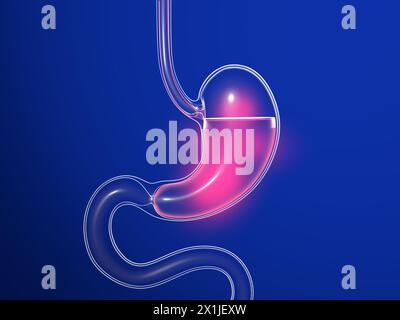 3D-Darstellung des Magens mit Verbrennung. Anatomischer Schnitt aus transparentem Glas mit Lichtern und Reflexionen auf dunkelblauem Hintergrund. Stockfoto