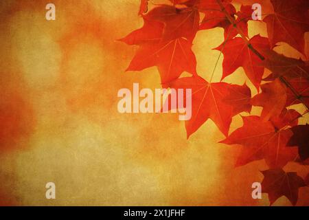 Herbstlaub über altem Papier. Perfekter Grunge Herbst Hintergrund. Stockfoto